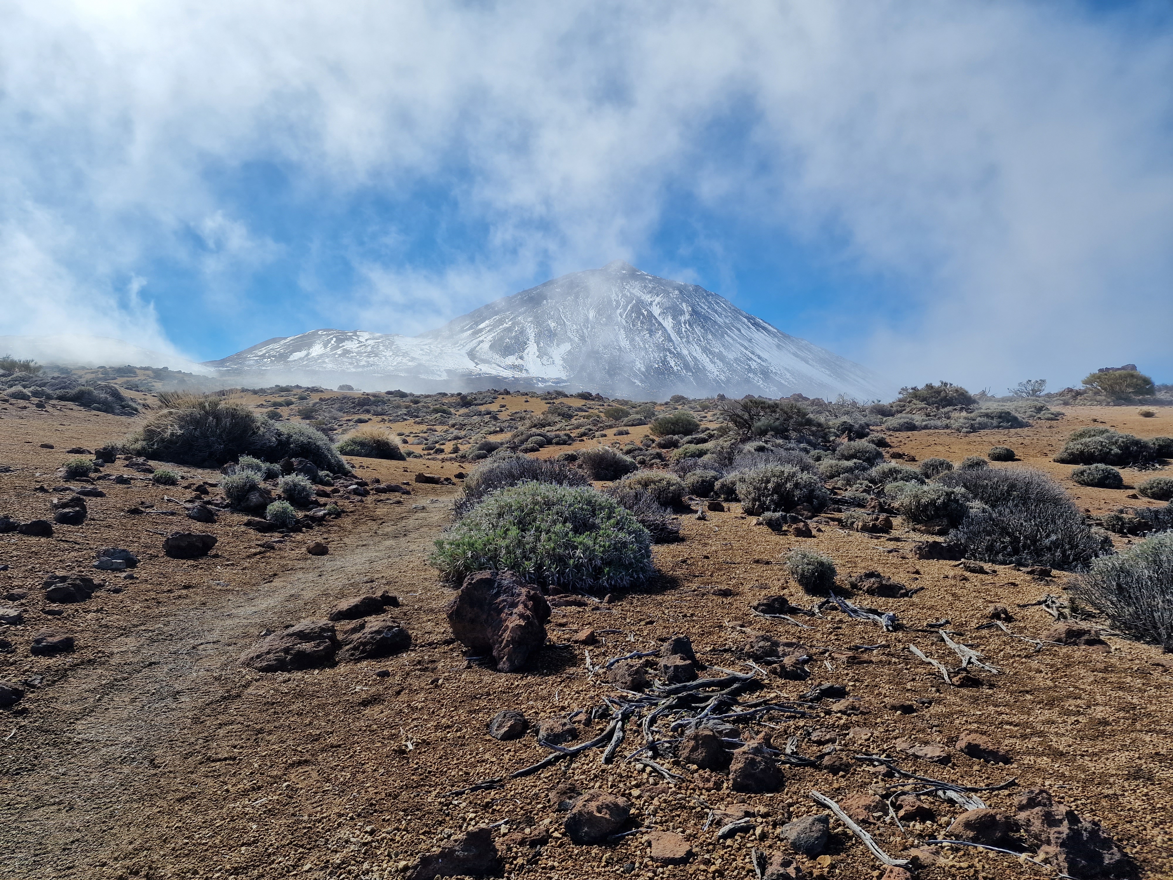 26. Gewoon één keer per week
