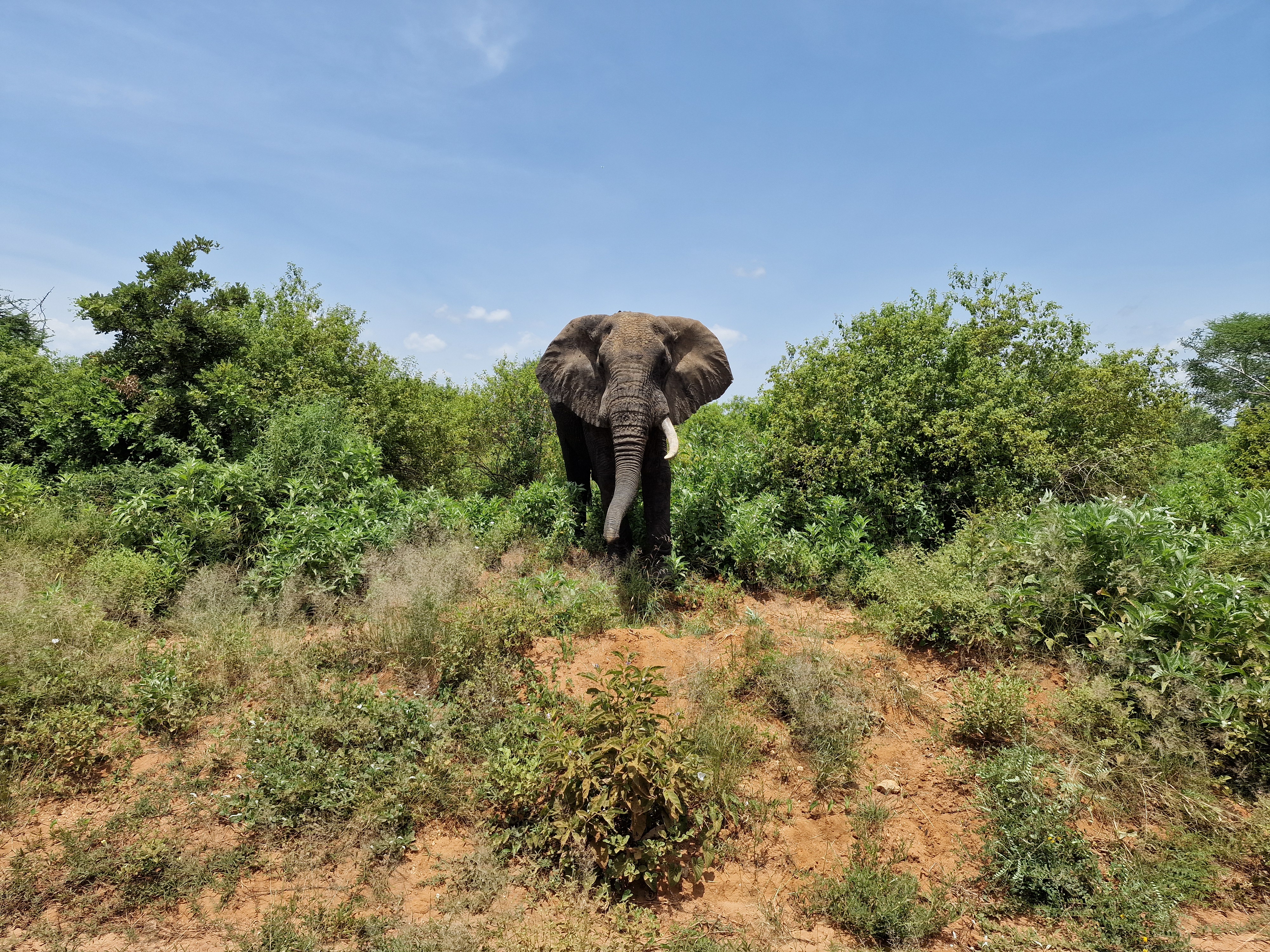 37. De top die ik niet haalde