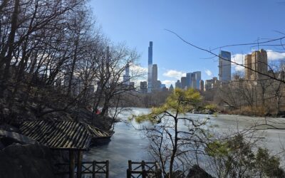 48. Dromen werkelijkheid