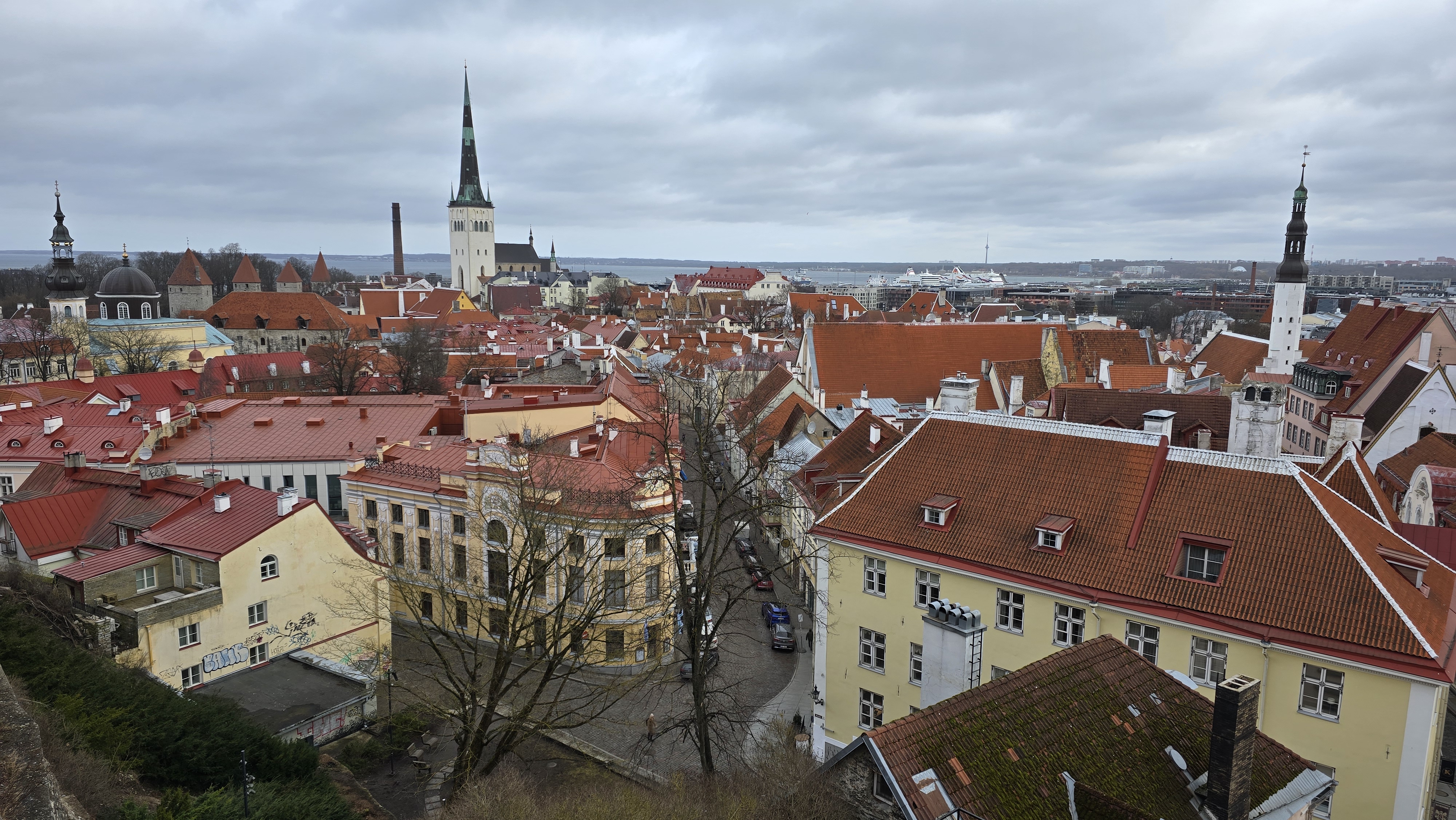 49. Wat mijn hoofd gelooft