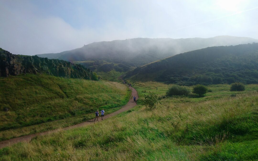 5. Bike or bag, that’s the question!