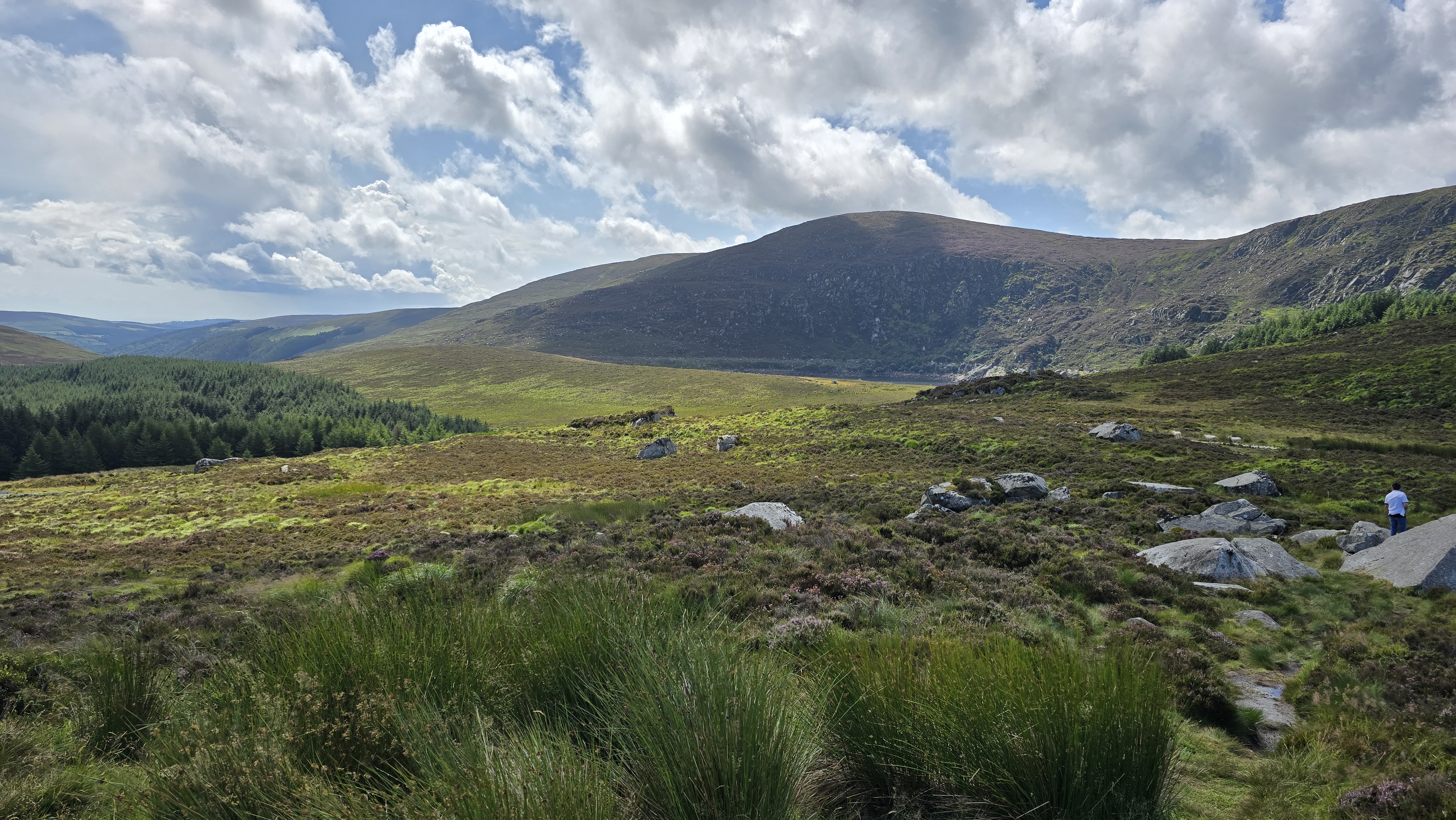 42. One day or day one