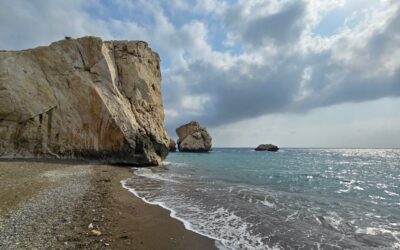 #7. Hoe mijn woorden hun weg vonden