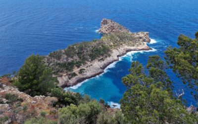 59. Kleine chaos, grote glimlach