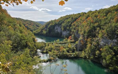 #5. De route terug naar mezelf