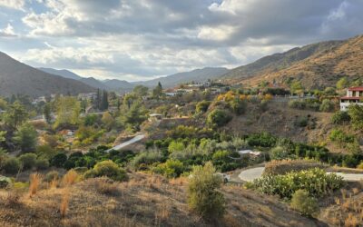 #6. Hoe een thema mij vindt